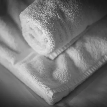 Marmotte Mountain Manor * 霞慕尼