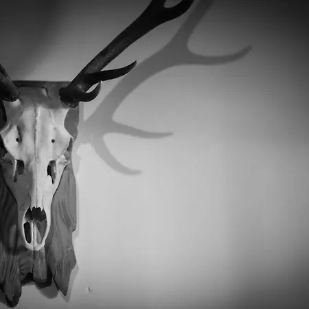 Marmotte Mountain Manor 山林小屋