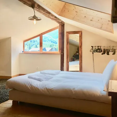 Marmotte Mountain Manor Orman Evi Chamonix