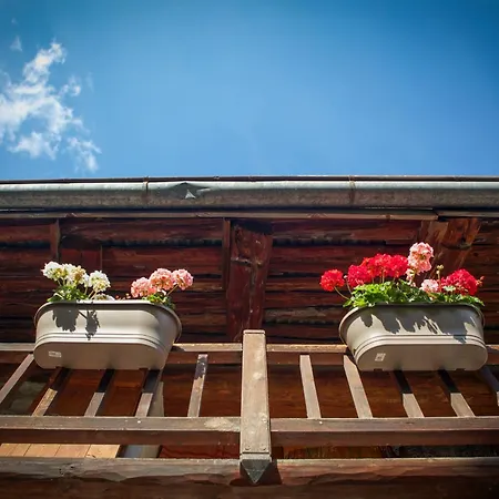Orman Evi Marmotte Mountain Manor