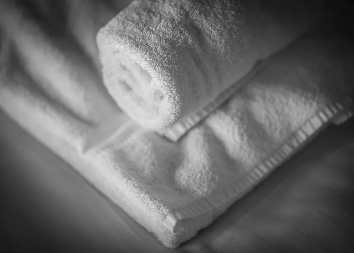 Marmotte Mountain Manor * Chamonix