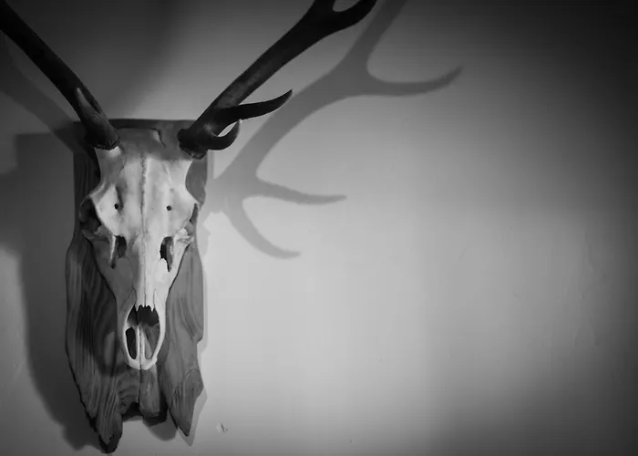 Marmotte Mountain Manor Gerendaház