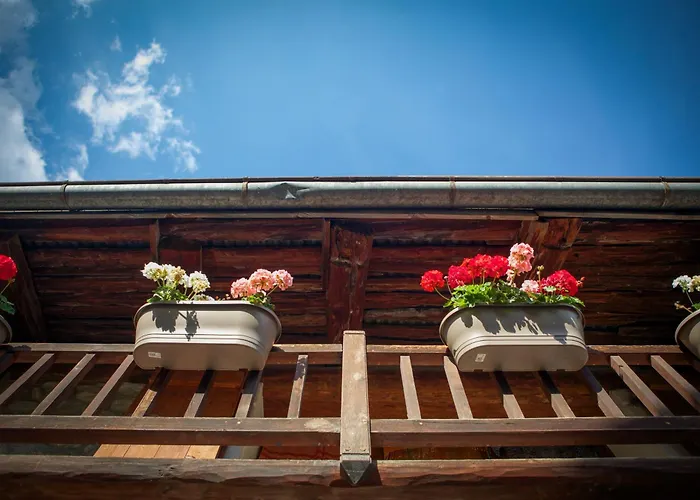 Alojamento de Turismo Selvagem Marmotte Mountain Manor